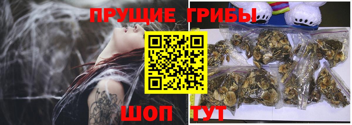Галлюциногенные грибы Magic Shrooms  Вход с VPN  Бахчисарай 