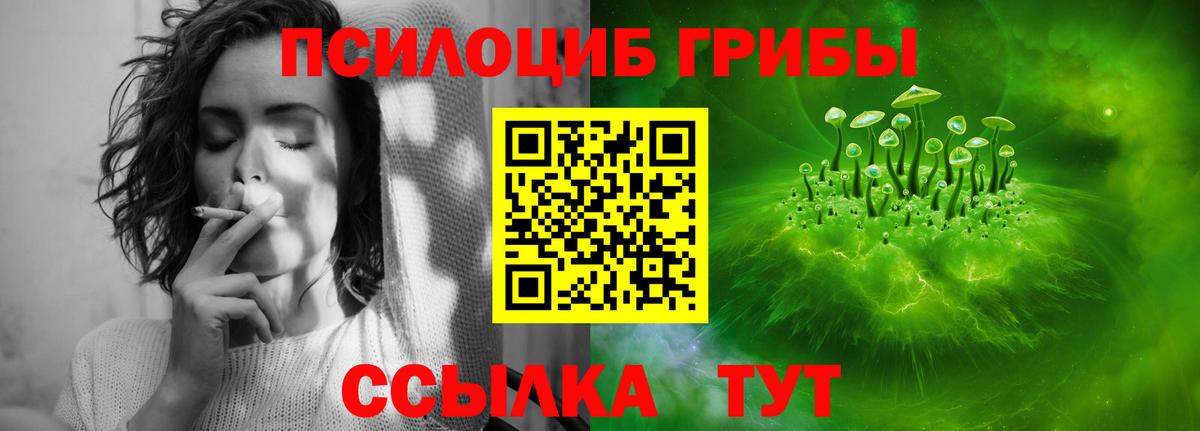 Псилоцибиновые грибы ЛСД Бахчисарай