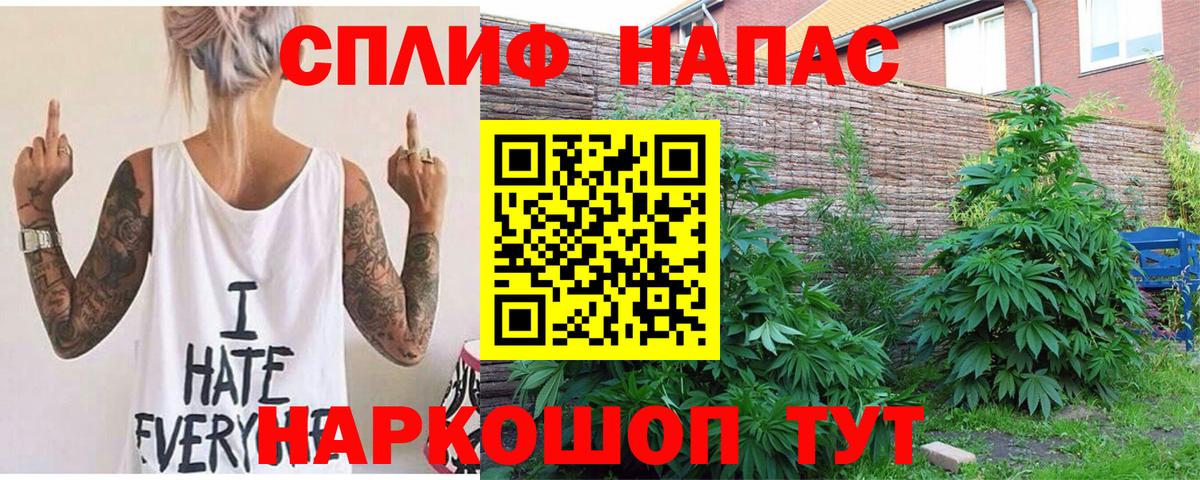 Канабис гибрид Бахчисарай